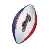 Franklin JUNIOR USA FOOTBALL -Sports Equipment Store Franklin JUNIOR USA FOOTBALL 1