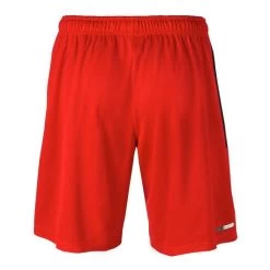 MIZUNO ELITE MESH WORKOUT SHORTS -Sports Equipment Store MIZUNO ELITE MESH WORKOUT SHORTS 4